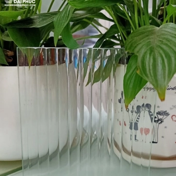 Kính sọc lớn 5 ly cường lực