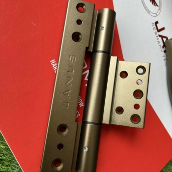 Phụ kiện bản lề 4D Janus khung cánh vàng